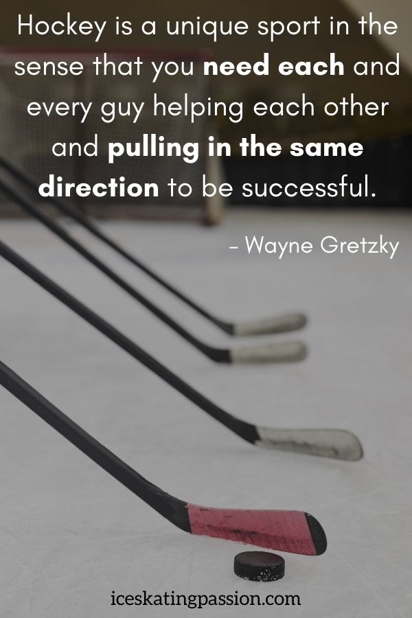 Inspiration ice hockey quote team work - Wayne Gretzky - pulling in the same direction
