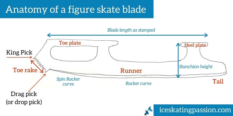 Figure skate blade parts anatomy